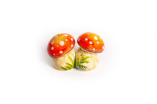 Piccobella Paddenstoel Peper en Zout Stel Rood Wit Keramiek