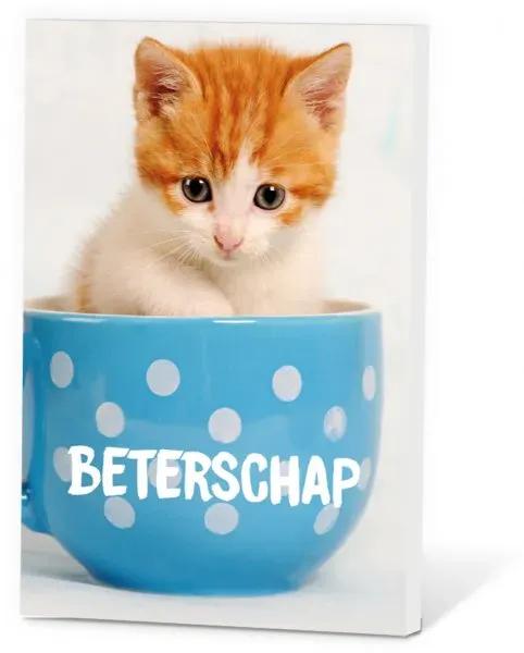 Thee in een Kaartje Beterschap Fruitmandje Thee 2 Kopjes
