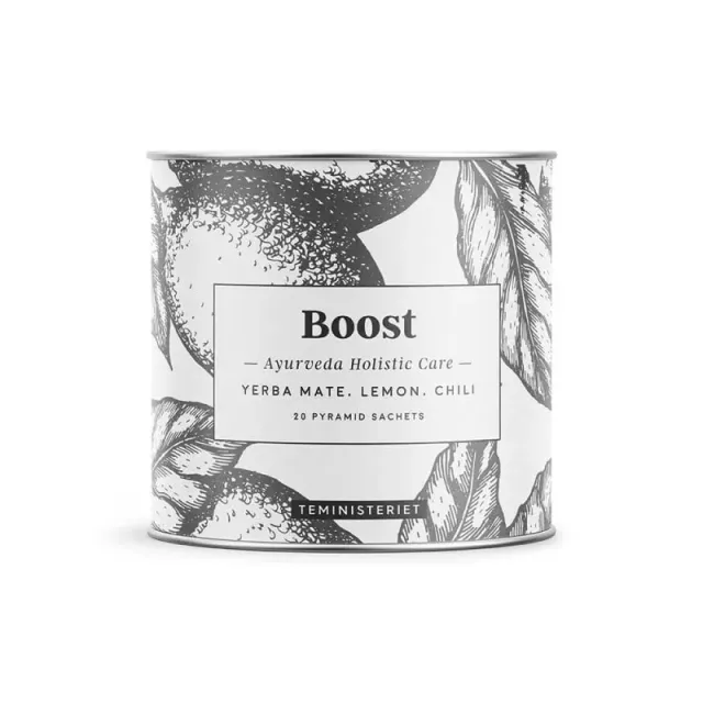 Teministeriet Ayurveda Boost thee 20 zakjes matcha gember