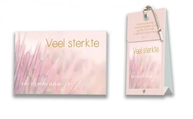 Villa servies Geurtasje kaart Veel sterkte 12,5 cm