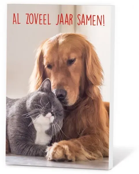 Thee in een Kaartje Liefdesthee Rooibos 2 Kopjes Samen