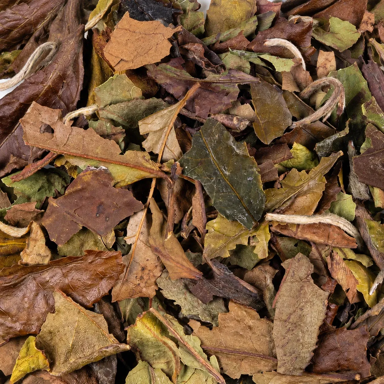 Ming Tea Pai Mu Tan witte thee 50g bio Fujian