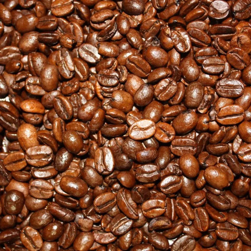 Villa servies Malabar koffie 250 gram losse bonen