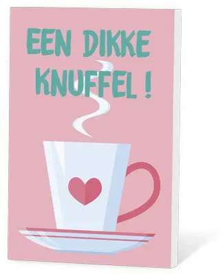 Villa servies Thee in een Kaartje knuffel zonnethee 2 kopjes