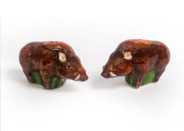 Piccobella Everzwijn peper en zoutstel bruin keramiek