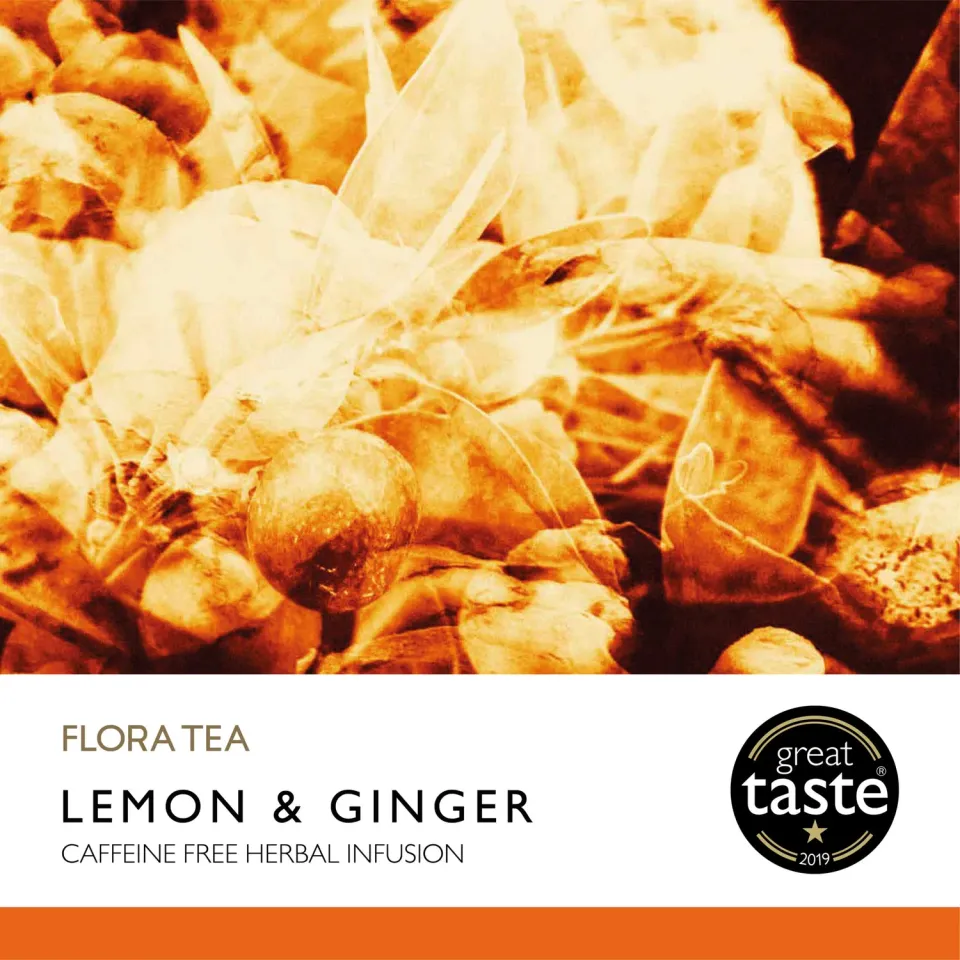 Flora Tea Lemon and Ginger theebloem 100 stuks fris
