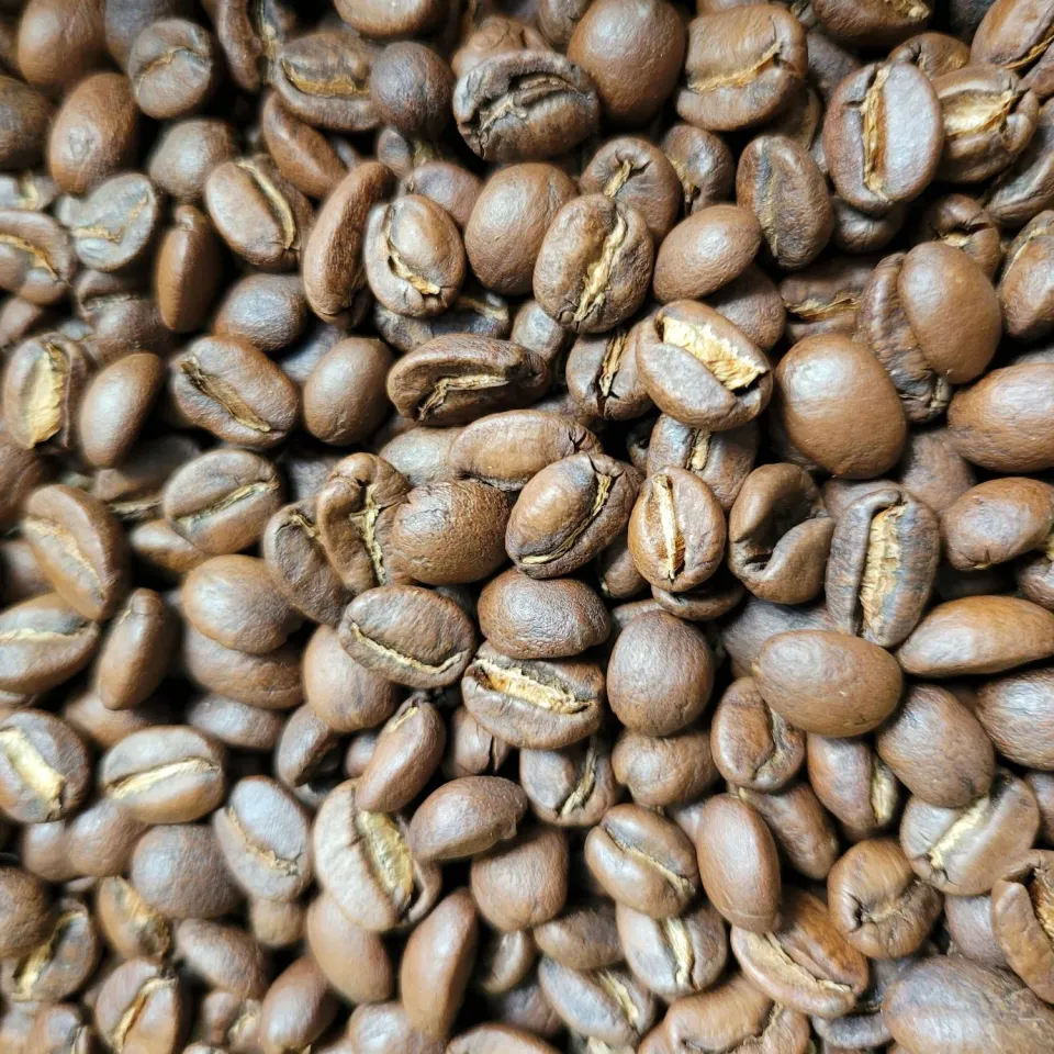 Villa servies Barahona koffie bonen 250 gram Dominicaanse Rep