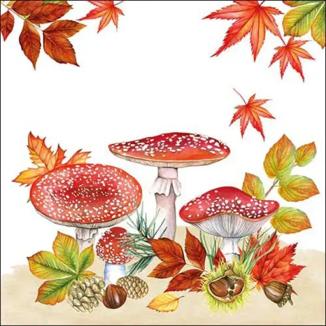 Ambiente Fly Agaric Group servetten 25 cm 20 stuks