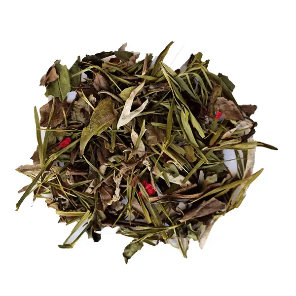 Tea Leafs Dragonheart witte thee cranberry