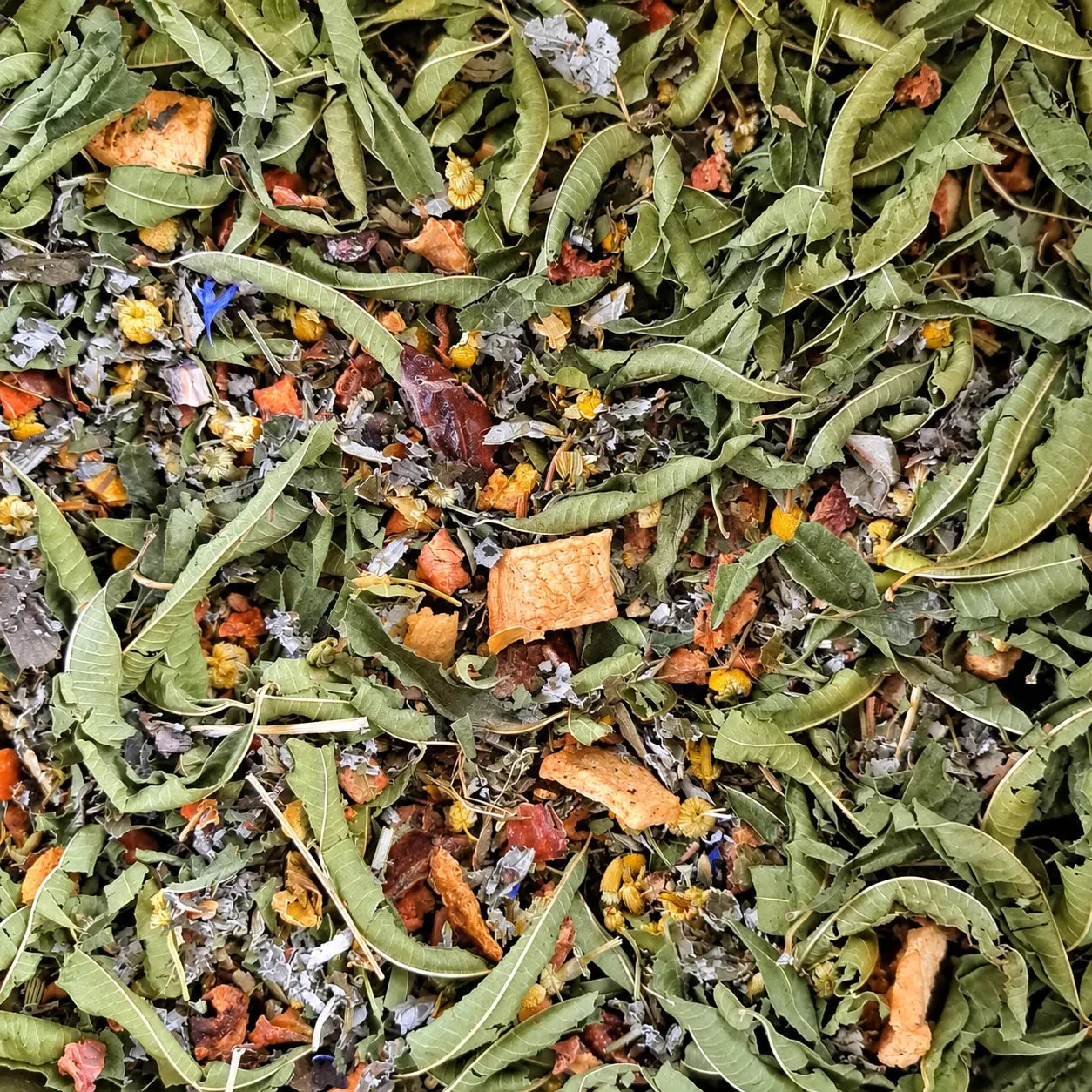 Ming tea Nice Dreams BIO theezakjes 20 stuks kamille lavendel