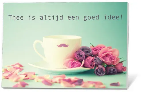 Villa servies Thee in een Kaartje Jasmijn kaart groene thee bio