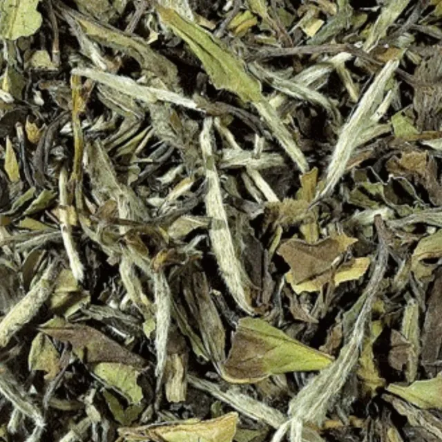 Villa servies Pai Mu Tan witte thee 100 gram zacht kruidig