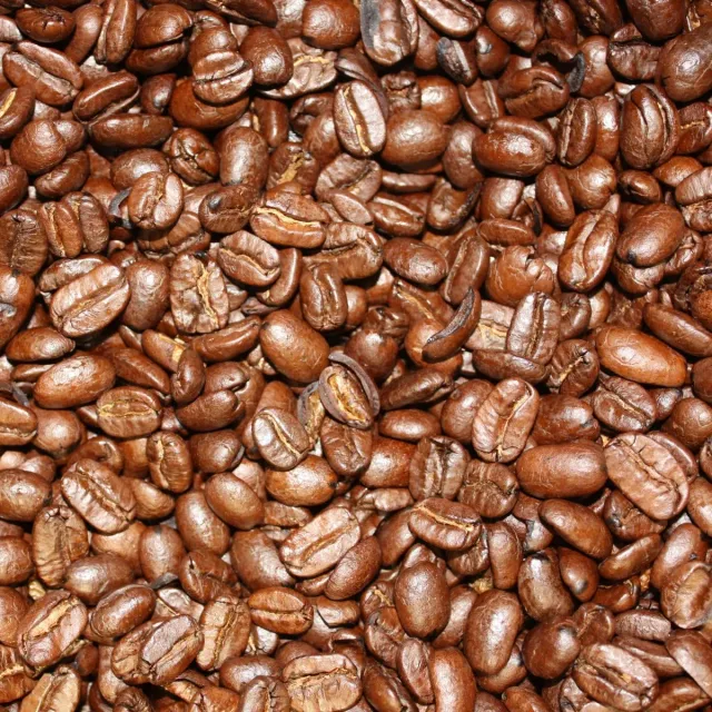 Villa servies Maragogype Espresso koffiebonen 250 gram losse bonen