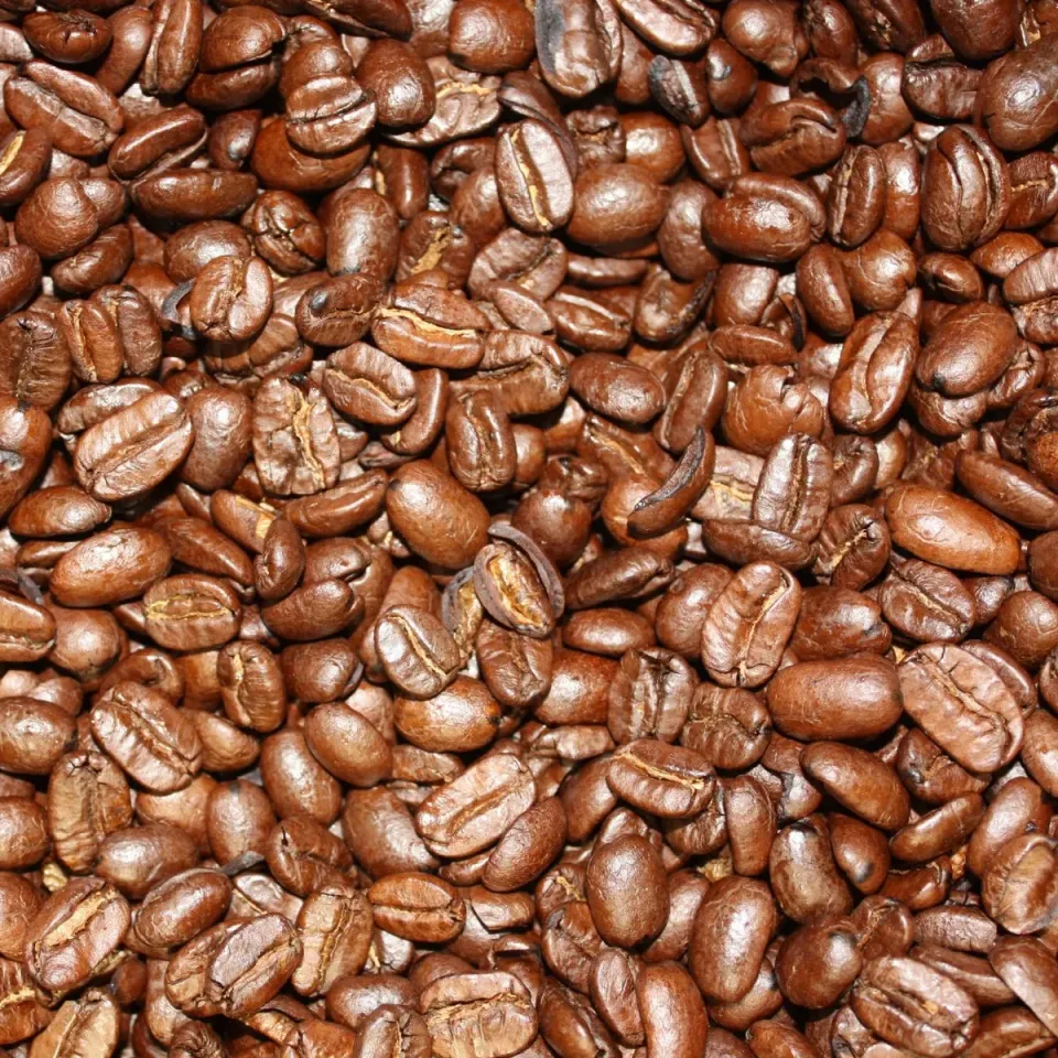 Villa servies Maragogype Espresso koffiebonen 250 gram losse bonen
