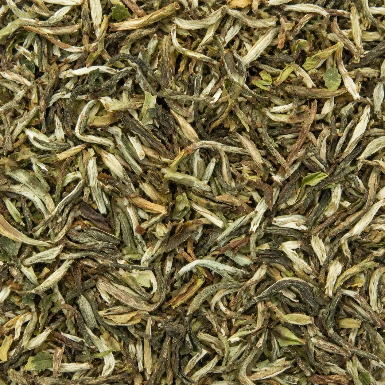 Ming tea Himalaya Mystic Kingdom oolong thee 50g bio