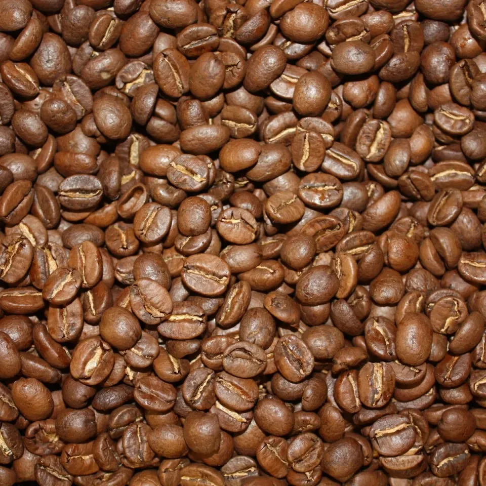 Villa servies Kilimanjaro koffie 250 gram losse bonen arabica