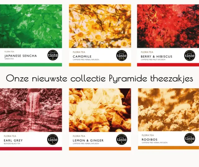 Flora Tea startset pyramide theezakjes 25 per smaak