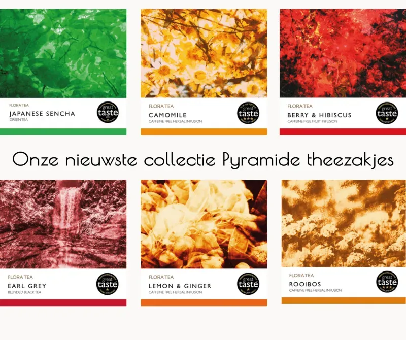 Flora Tea startset pyramide theezakjes 25 per smaak