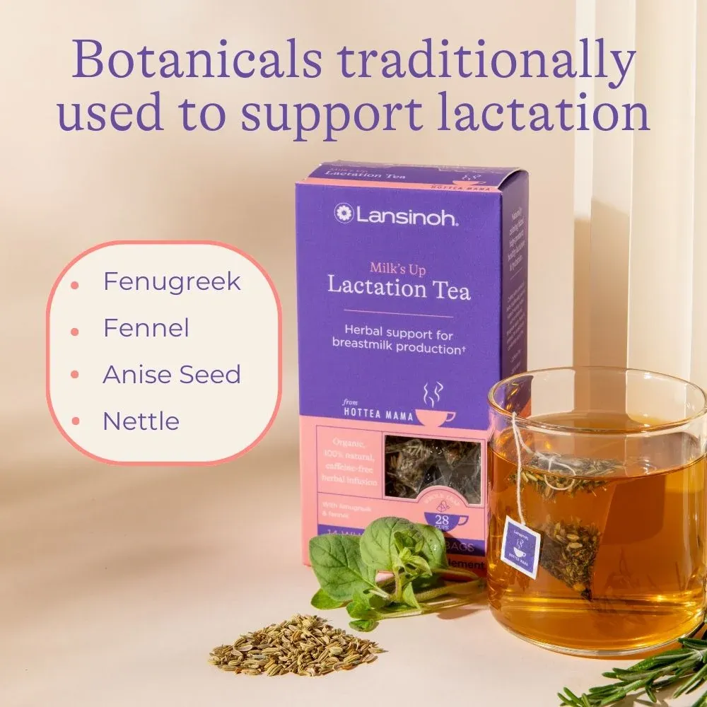 HotTea Mama Milk's Up borstvoedingsthee 14 zakjes venkel