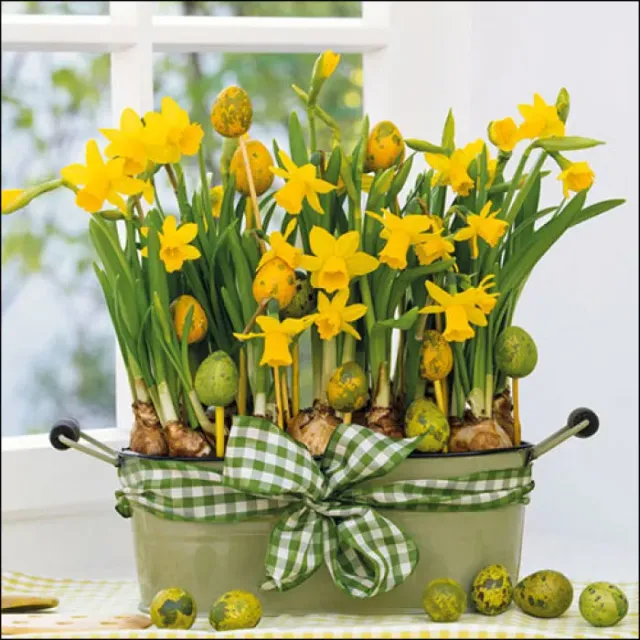 Ambiente Daffodils servetten 33x33 cm 20 stuks lente