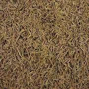 Ming tea Pinus sylvestris dennennaaldthee 20 piramidezakjes
