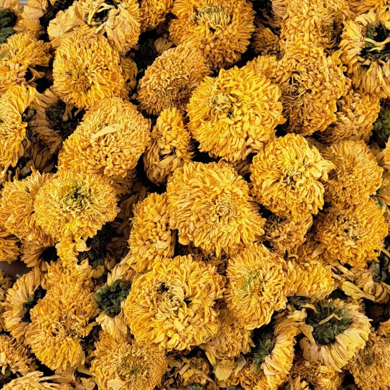 Ming tea gele chrysantenthee bloemen 50g zachtzoet