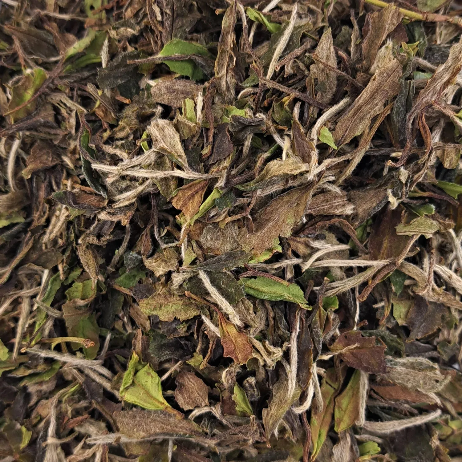 Ming Tea Fuding Bai Mu Dan witte thee los 50 g bloemig
