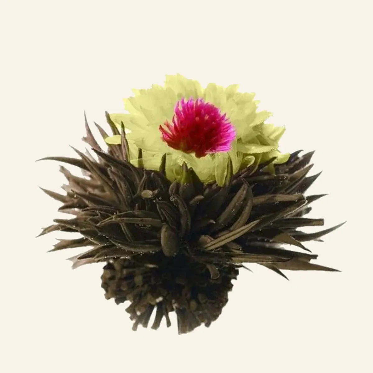 Ming tea Phoenix Eye theebloemen 8 stuks jasmijn