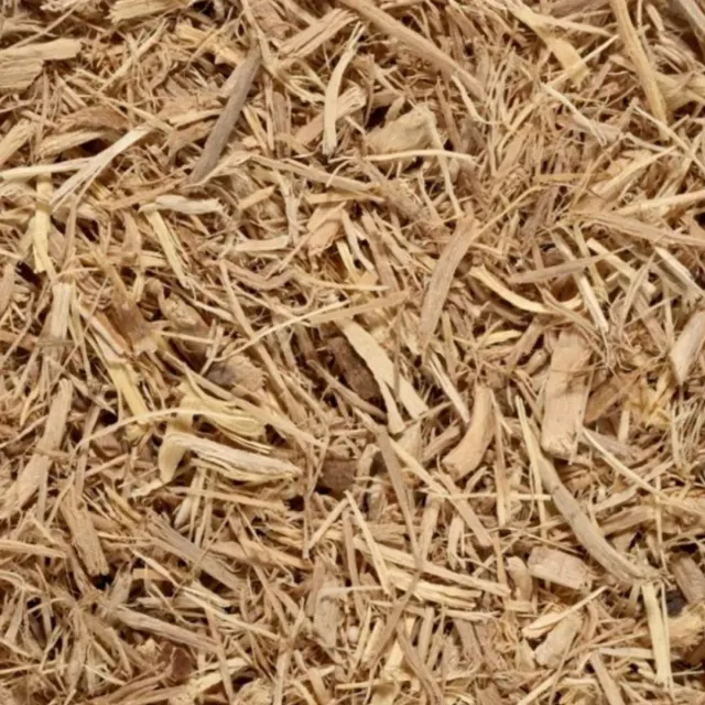 Ginseng wortel kruidenthee los 100 gram Siberisch