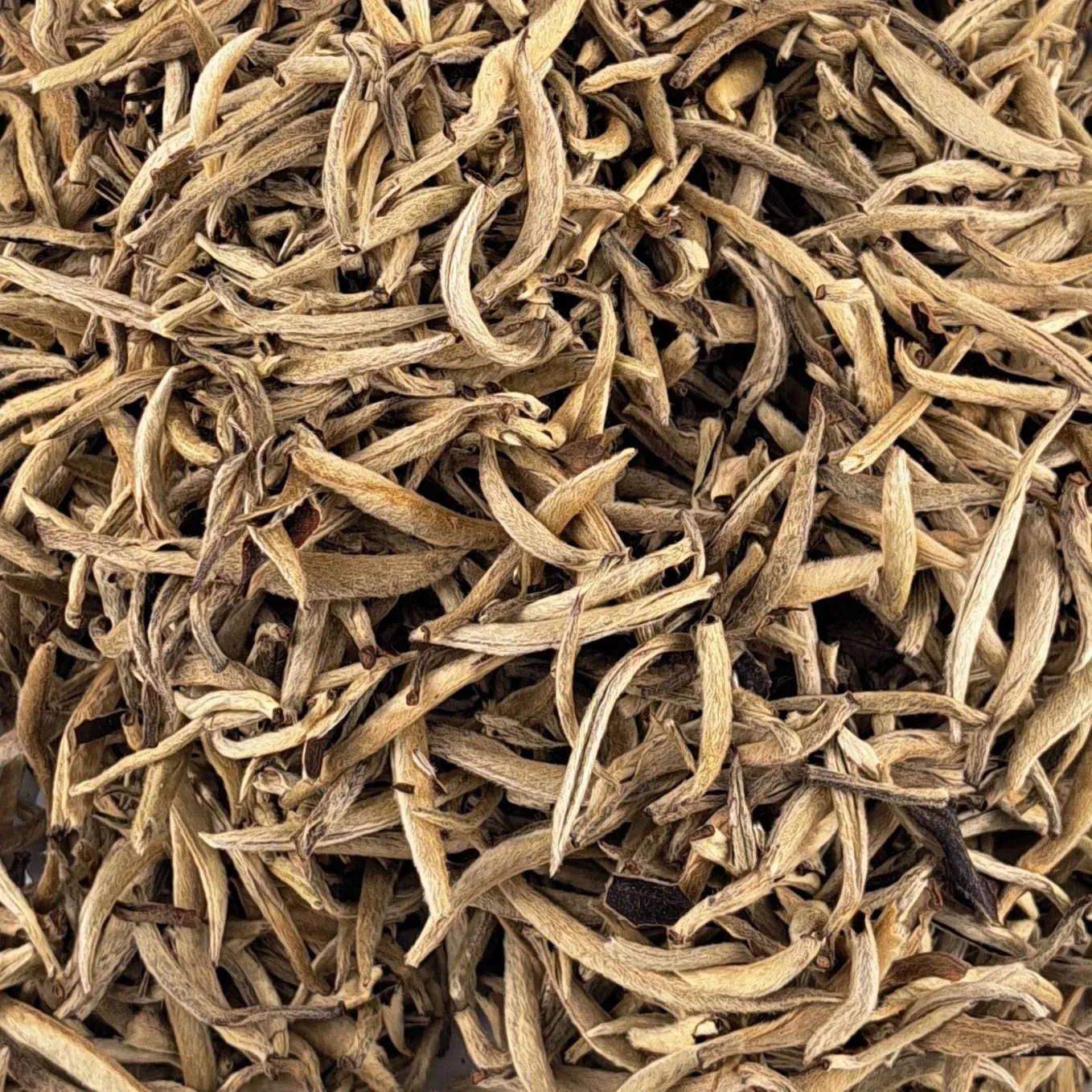 Ming Tea Moonlight White Pu Erh Buds witte thee 50g zoet